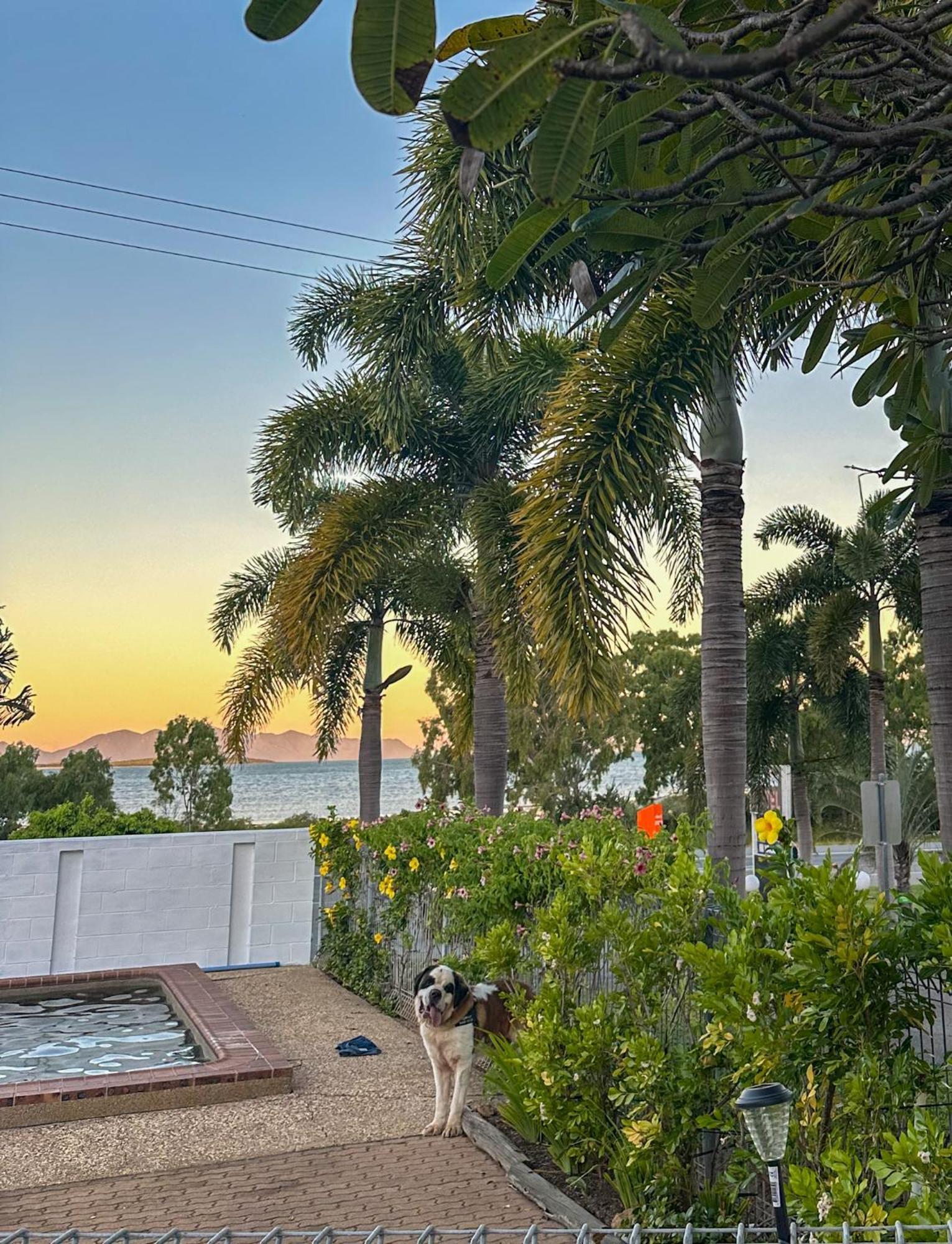 Ocean View Motel Bowen Dış mekan fotoğraf