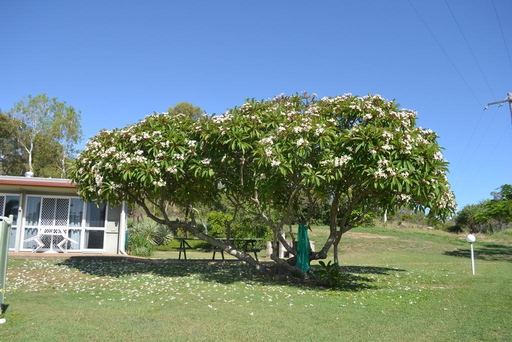 Ocean View Motel Bowen Dış mekan fotoğraf